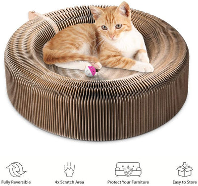 Pet Cat Scratcher Lounge Bed urpet.net